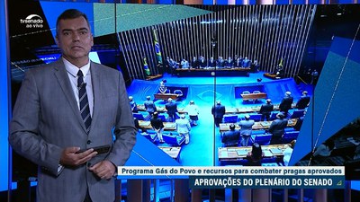 Edição da Noite: Plenário do Senado aprova a MP do Programa Gás do Povo