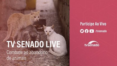 TV Senado Live: como combater o abandono de animais?