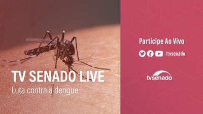 TV Senado Live: luta contra a dengue