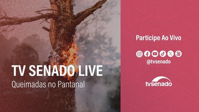 Ao vivo: TV Senado Live debate as queimadas no Pantanal
